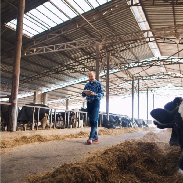 farm-about-us-gallary-2-opt